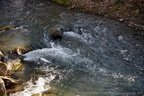 DSC04503