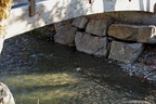 DSC04504