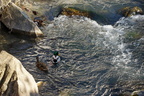 DSC04507