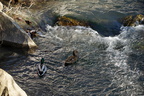 DSC04508