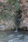 DSC04528