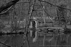 DSC04664 BW