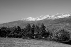 DSC04325 BW
