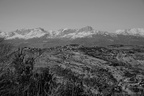 DSC04452 BW
