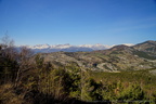 DSC04453
