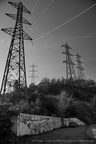 DSC04461 BW