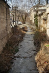 DSC04146