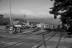 DSC04215 BW