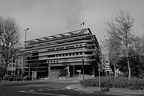DSC02705 BW