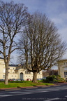 DSC02706