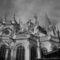 DSC02738 BW
