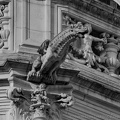 DSC02739 BW