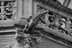 DSC02739 BW