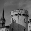 DSC02742 BW