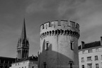 DSC02742 BW