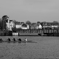 DSC02743 BW