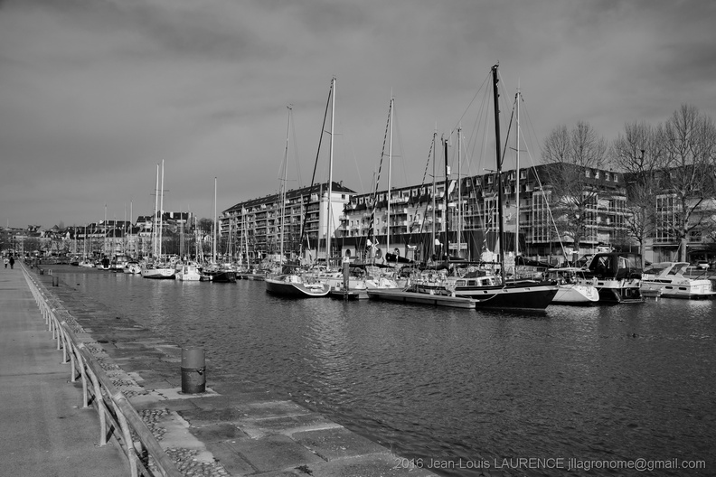 DSC02747_BW.JPG