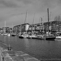 DSC02747 BW