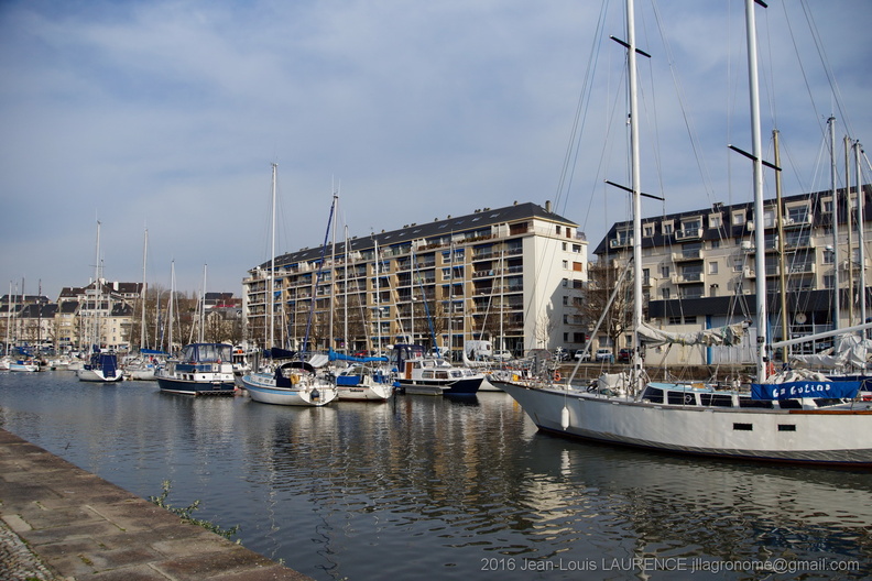 DSC02748.JPG