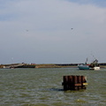 DSC02757
