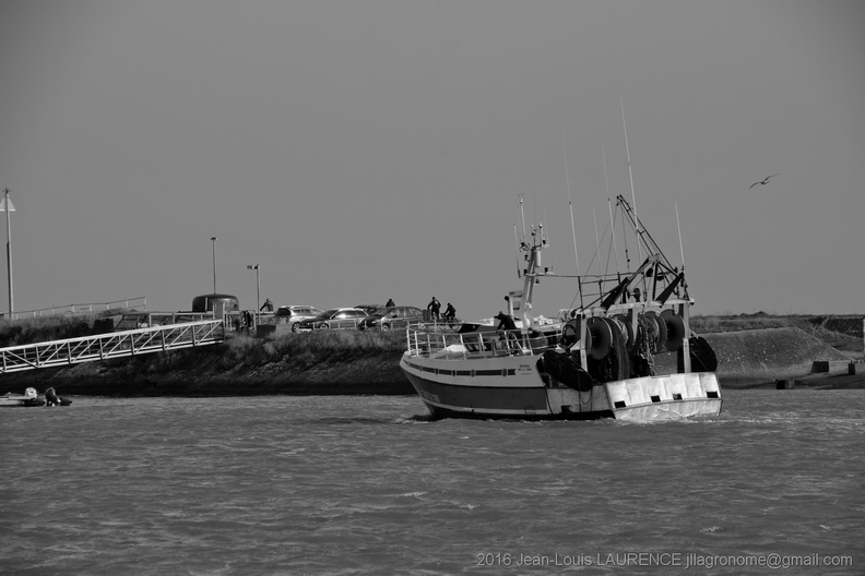 DSC02758_BW.JPG