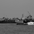 DSC02758 BW