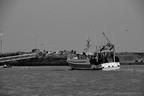 DSC02758 BW