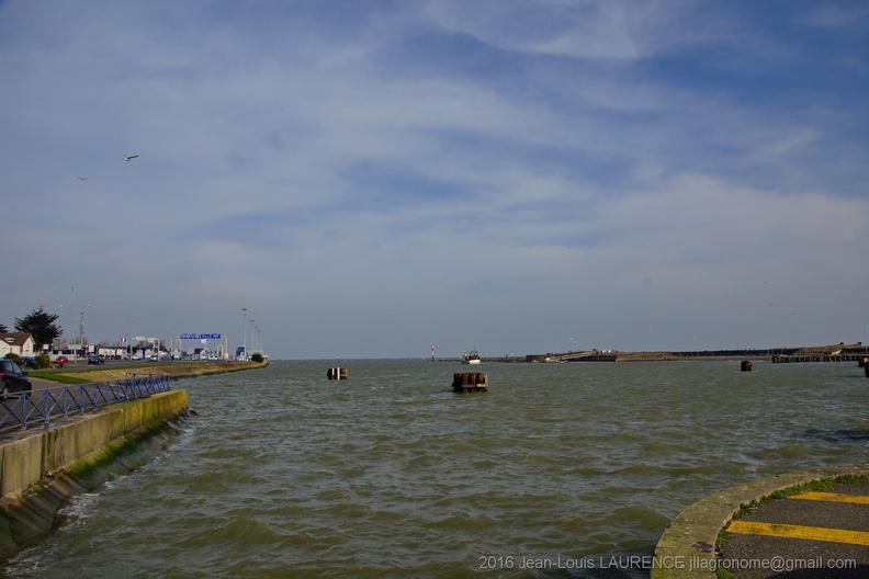DSC02759.JPG