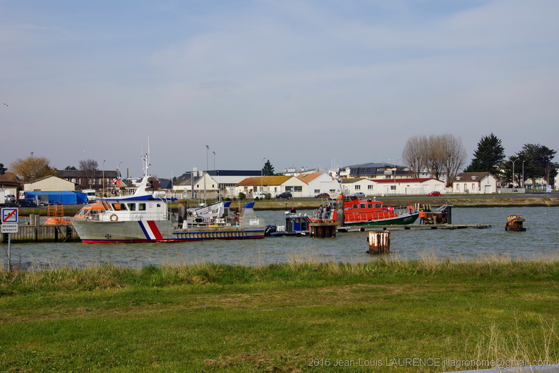 DSC02763.JPG
