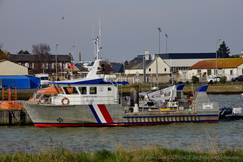 DSC02764.JPG