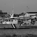 DSC02764 BW