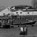 DSC02765 BW