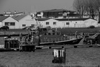 DSC02765 BW