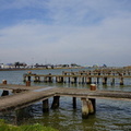 DSC02766
