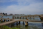 DSC02766
