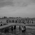 DSC02766 BW