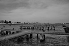 DSC02766 BW