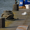 DSC02768