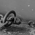 DSC02775 BW