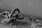 DSC02775 BW