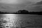 DSC03528 BW