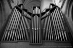 DSC01950 BW