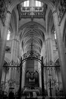 DSC01973 BW