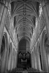 DSC01979 BW