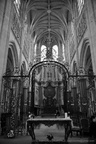 DSC01981 BW