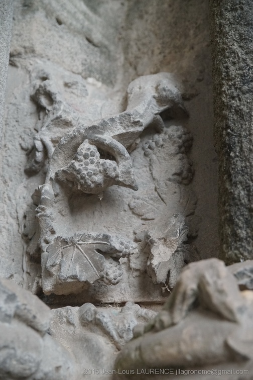 DSC02042 (1894 visites) DSC02042