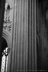 DSC02083 BW