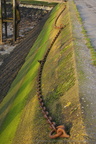 DSC01770