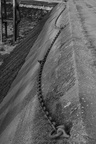 DSC01770 BW
