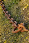 DSC01771